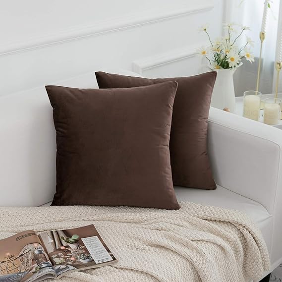 Brown Velvet Cushion Pair