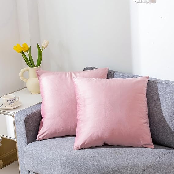Pink Velvet Cushion Pair