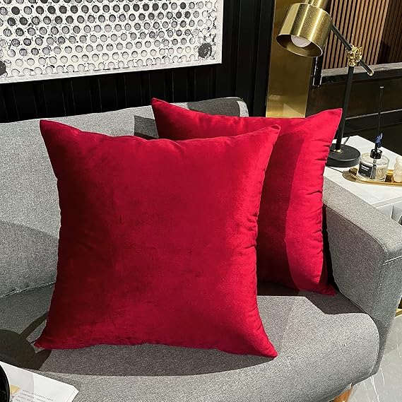 Red Velvet Cushion Pair