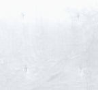Frosted Cloud Summer Fleece Bed Spread