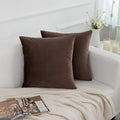 Brown Velvet Cushion Pair
