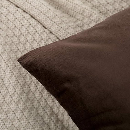 Brown Velvet Cushion Pair