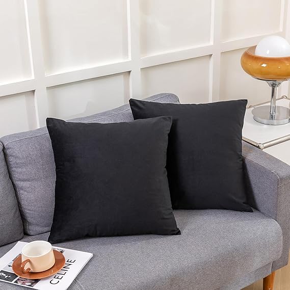 Black Velvet Cushion Pair