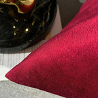 Red Velvet Cushion Pair