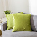 Bright Green Velvet Cushion Pair