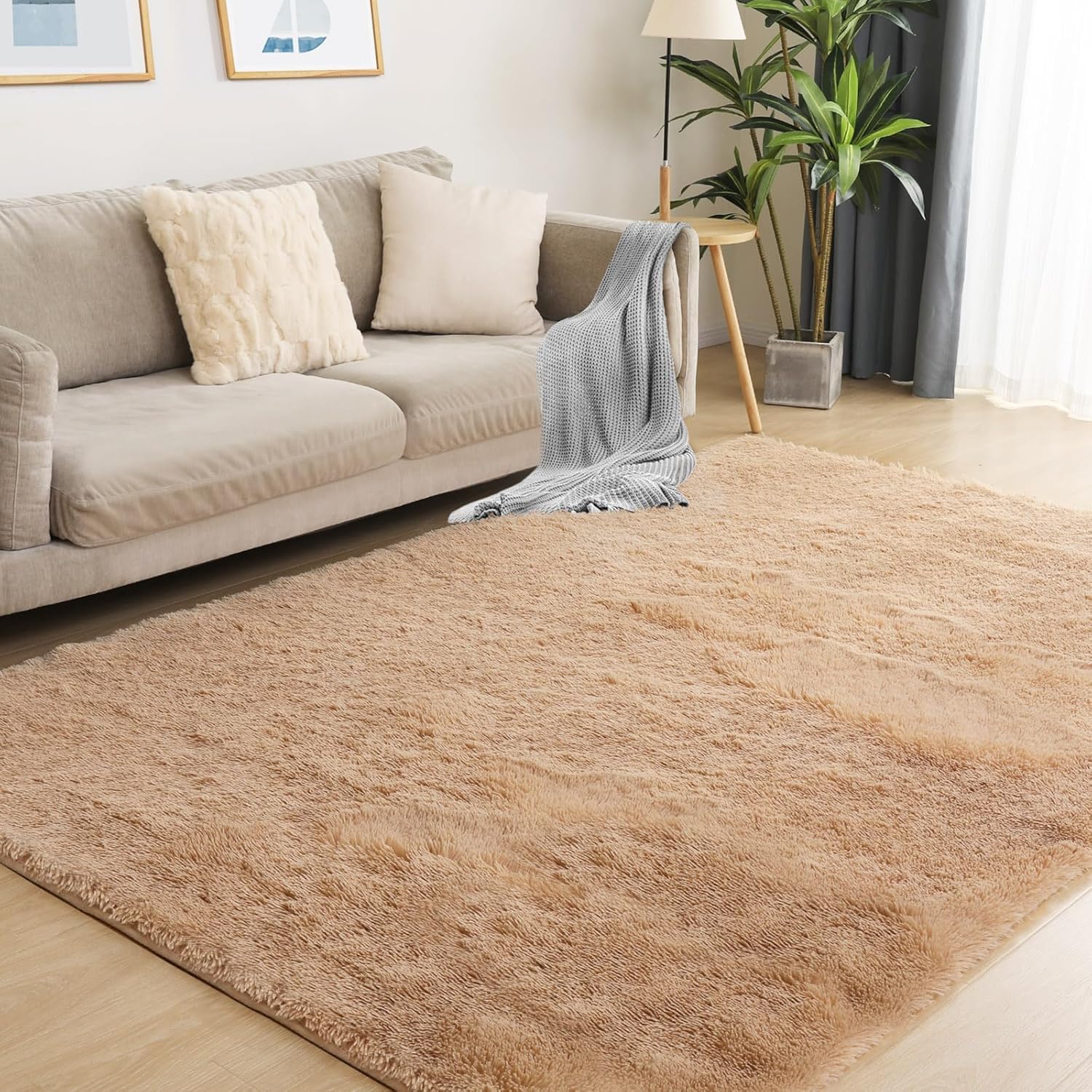 Beige Shaggy Carpet
