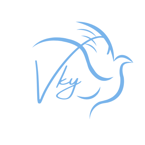 Vky.Life
